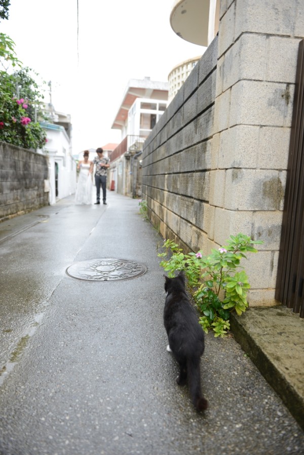 土曜日から断続的な雨が降り続く沖縄