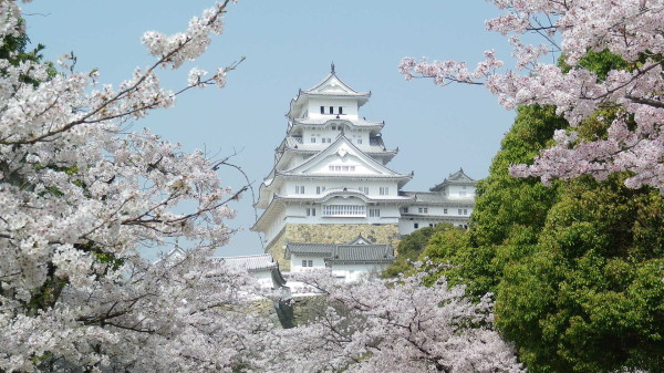 こちらも昨日に引き続きメールでいただいた姫路城と桜の一枚☆
